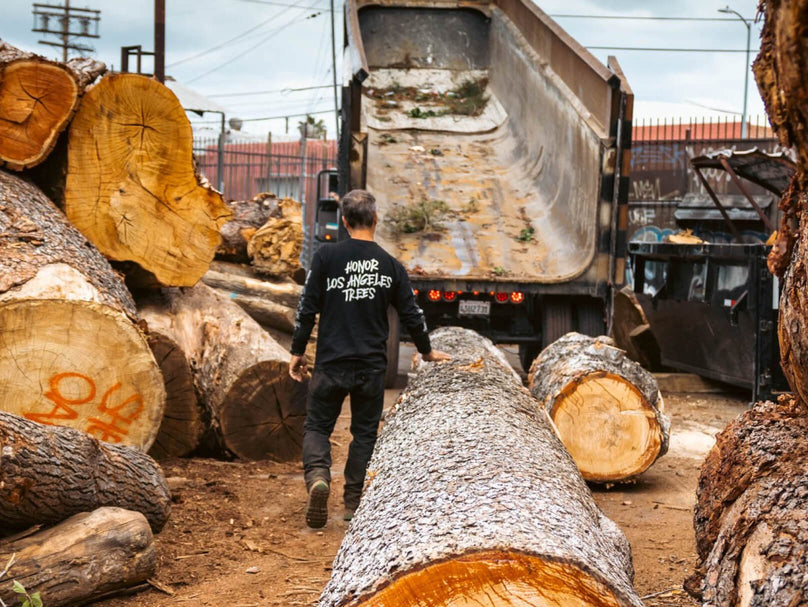 Angel City Lumber Homepage Hero Image