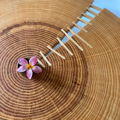 Angel City Lumber image